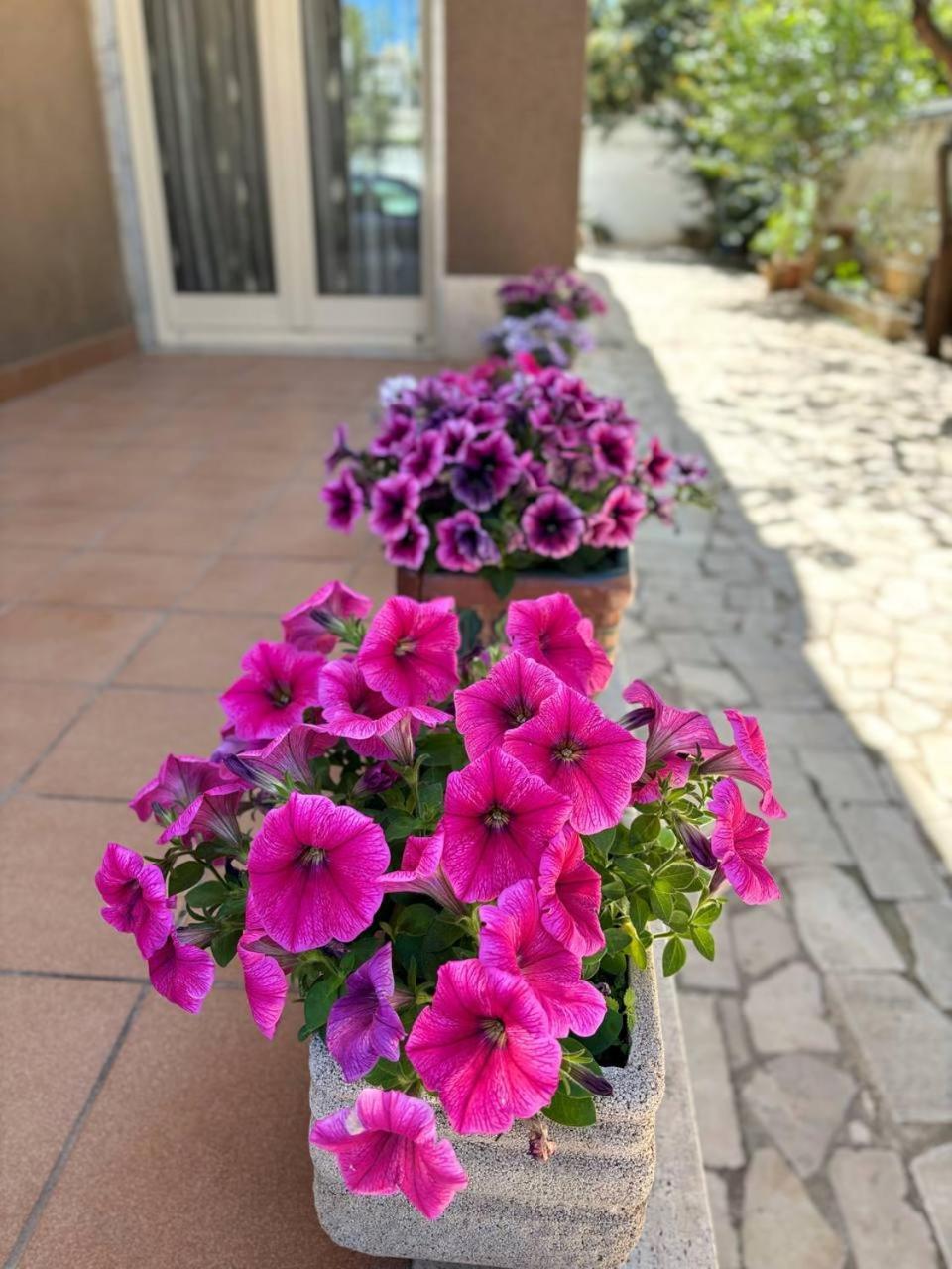 Villa Magnolia Con Giardino Bari Zewnętrze zdjęcie